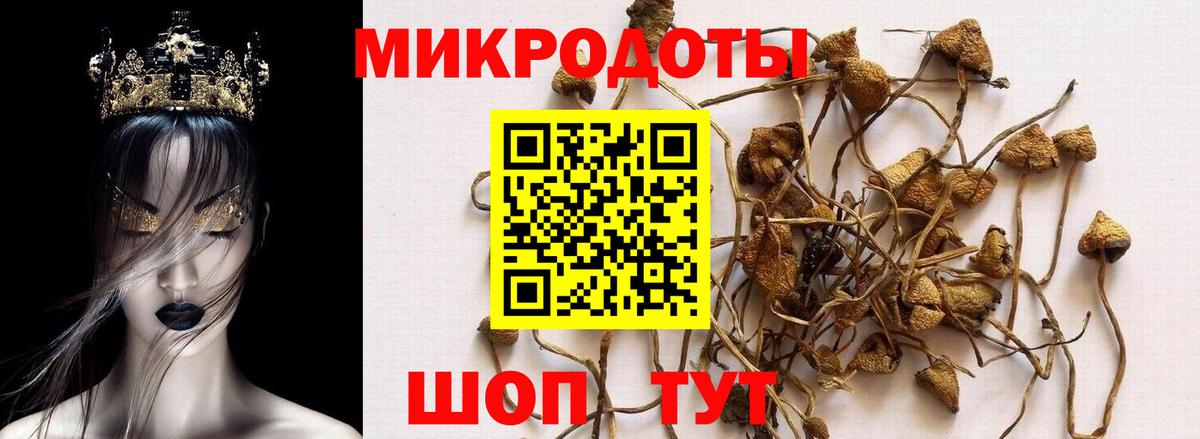 где можно купить наркотик  Вход с VPN  Шелехов  Псилоцибиновые грибы Cubensis  Галлюциногенные грибы MAGIC MUSHROOMS 